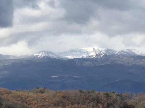 福島県福島市 花見山公園の情報2017年12月5日 IMG_4240