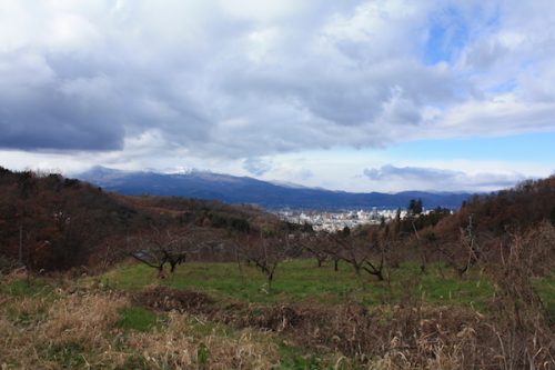 福島県福島市 花見山公園の情報2017年12月5日 IMG_9828