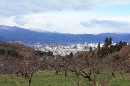 福島県福島市 花見山公園の情報2017年12月5日 IMG_9829