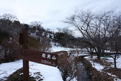 福島県福島市 花見山公園の情報2018年1月5日 菜の花畑方面 180105H9862