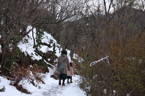 福島県福島市 花見山公園の情報2018年1月5日 園内 180105H9896