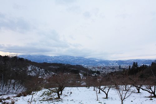 福島県福島市 花見山公園の情報2018年1月5日 花の谷コース頂上 180105H9907