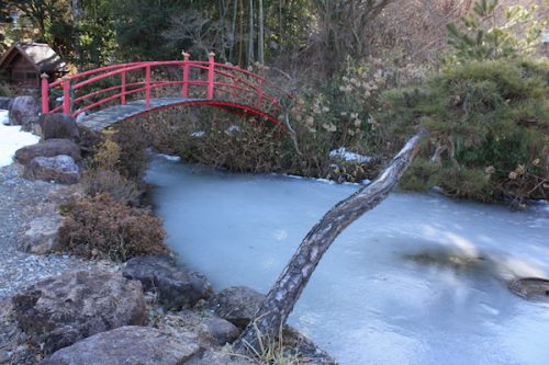 福島県福島市 花見山公園の情報2018年2月16日 IMG_9928