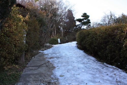 福島県福島市 花見山公園の情報2018年2月16日 IMG_9945