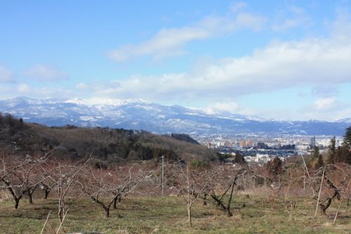 福島県福島市 花見山公園の情報2018年2月16日 IMG_9955