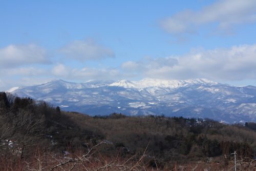 福島県福島市 花見山公園の情報2018年2月16日 IMG_9957