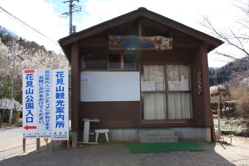 福島県福島市 花見山公園の情報2018年3月23日 IMG_0179