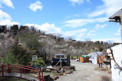 福島県福島市 花見山公園の情報2018年3月23日 IMG_0219