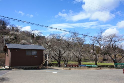 福島県福島市 花見山公園の情報2018年3月23日 IMG_0223