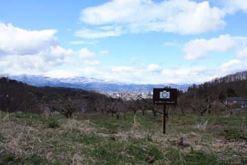 福島県福島市 花見山公園の情報2018年3月23日 IMG_0229