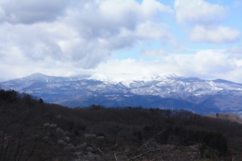 福島県福島市 花見山公園の情報2018年3月23日 IMG_0232