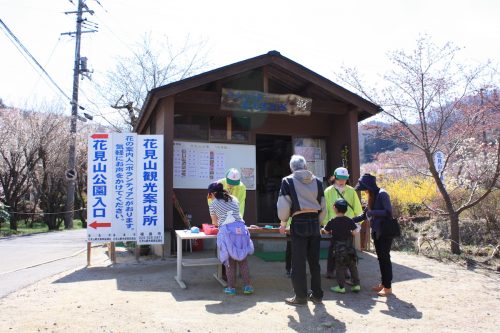 福島県福島市 花見山公園の情報2018年3月30日 IMG_0298