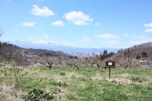 福島県福島市 花見山公園の情報2018年3月30日 IMG_0307