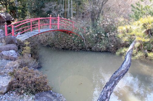 福島県福島市 花見山公園の情報2018年3月6日 IMG_9968