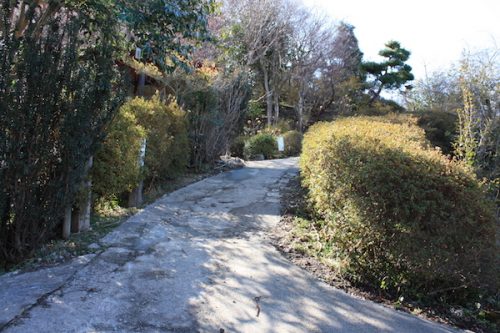 福島県福島市 花見山公園の情報2018年3月6日 IMG_9975