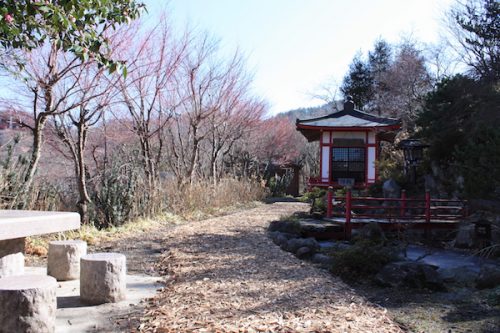 福島県福島市 花見山公園の情報2018年3月6日 IMG_9976