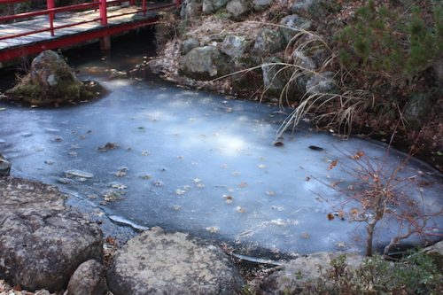 福島県福島市 花見山公園の情報2018年3月6日 IMG_9979