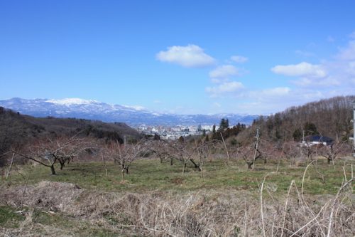 福島県福島市 花見山公園の情報2018年3月6日 IMG_9986