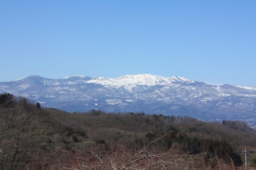 福島県福島市 花見山公園の情報2018年3月6日 IMG_9989