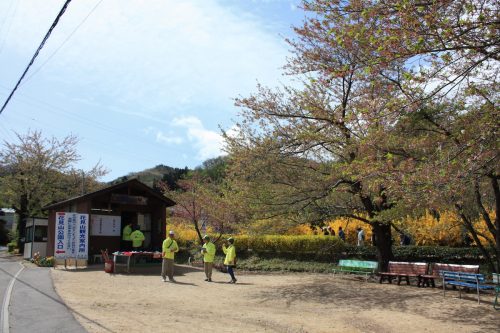 福島県福島市 花見山公園の情報2018年4月16日 IMG_0701