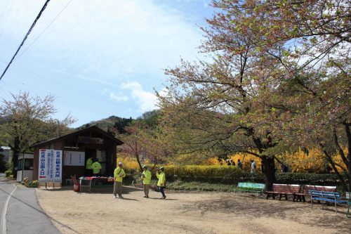 福島県福島市 花見山公園の情報2018年4月16日 IMG_0701