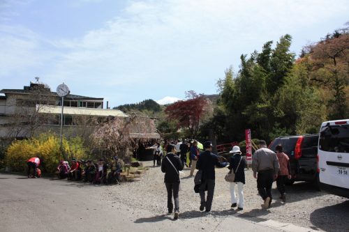 福島県福島市 花見山公園の情報2018年4月16日 IMG_0708