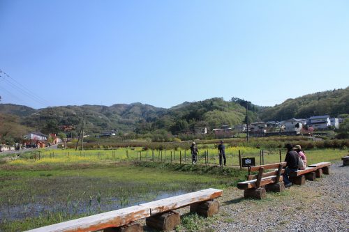 福島県福島市 花見山公園の情報2018年4月20日 IMG_0713