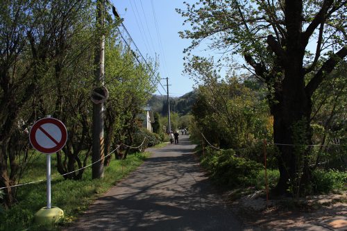 福島県福島市 花見山公園の情報2018年4月20日 IMG_0715