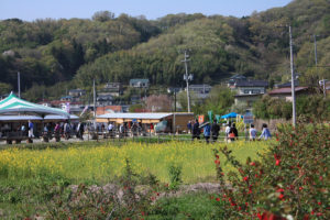 福島県福島市 花見山公園の情報2018年4月20日 IMG_0723