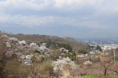 福島県福島市 花見山公園 2018年4月4日 IMG_7918