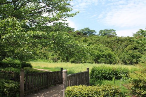 福島県福島市 花見山公園の情報2018年5月15日 IMG_1022