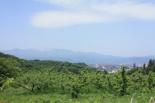 福島県福島市 花見山公園の情報2018年5月15日 IMG_1023