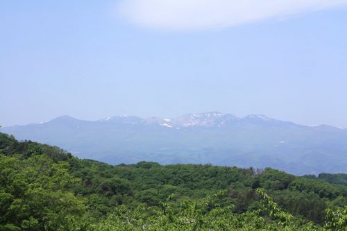 福島県福島市 花見山公園の情報2018年5月15日 IMG_1024