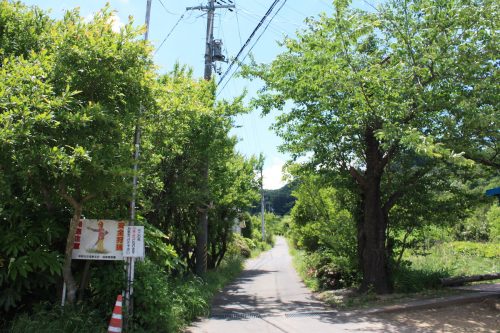 福島県福島市 花見山公園の情報2018年6月1日 IMG_1032