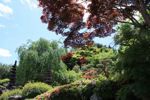 福島県福島市 花見山公園の情報2018年6月1日 IMG_1034