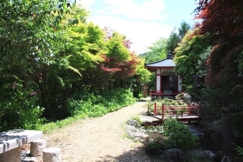 福島県福島市 花見山公園の情報2018年6月1日 IMG_1035