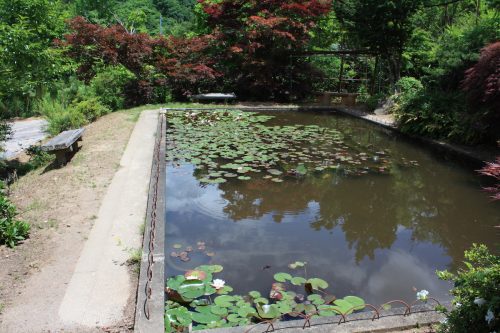 福島県福島市 花見山公園の情報2018年6月1日 IMG_1037