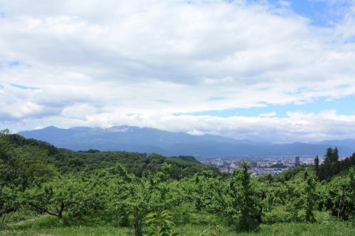 福島県福島市 花見山公園の情報2018年6月1日 IMG_1042