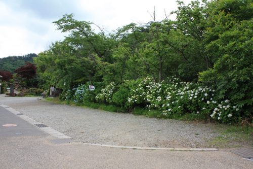 福島県福島市 花見山公園の情報2018年6月19日 IMG_4844