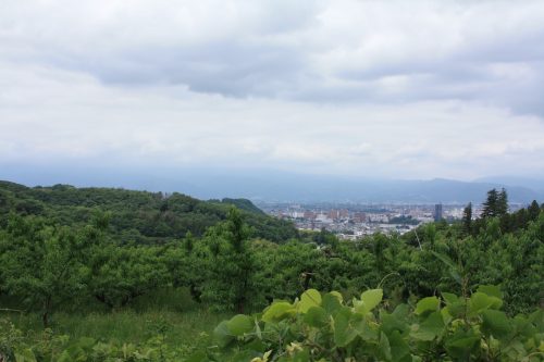 福島県福島市 花見山公園の情報2018年6月19日 IMG_4852