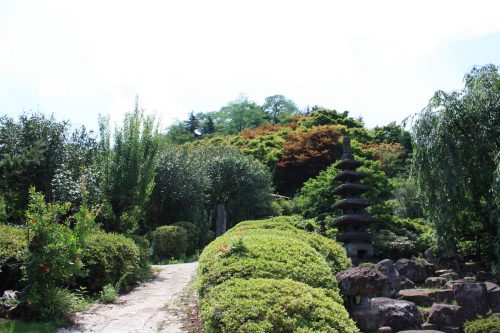 福島県福島市 花見山公園の情報 2018年7月12日 IMG_4910