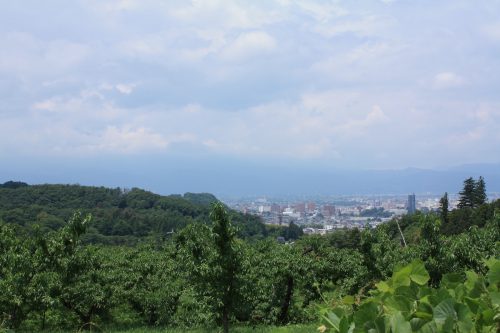 福島県福島市 花見山公園の情報 2018年7月12日 IMG_4913