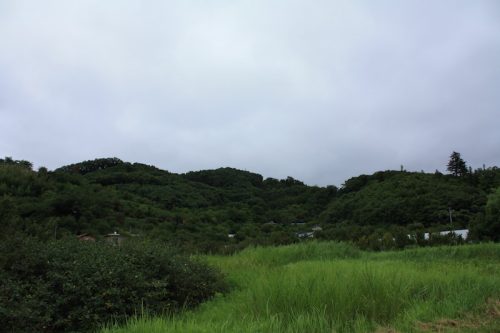 福島県福島市 花見山公園の情報 2018年8月6日 IMG_5133