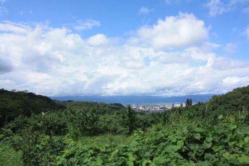 福島県福島市 花見山公園の情報 2018年9月5日 IMG_5165