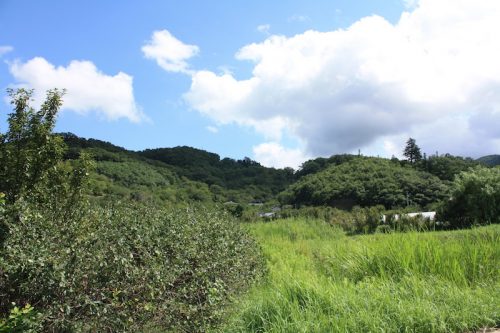 福島県福島市 花見山公園の情報 2018年9月5日 IMG_5170