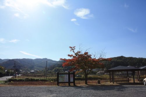 福島県福島市 花見山公園の情報 2018年10月26日 IMG_5348