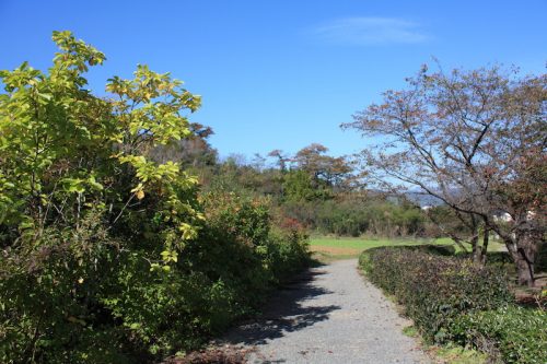 福島県福島市 花見山公園の情報 2018年10月26日 IMG_5351