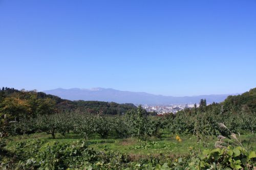 福島県福島市 花見山公園の情報 2018年10月26日 IMG_5354