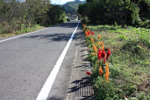 福島県福島市 花見山公園の情報 2018年10月26日 IMG_5356