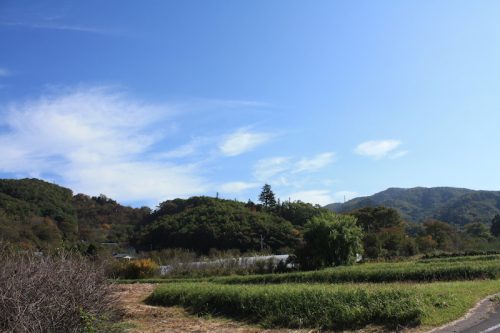 福島県福島市 花見山公園の情報 2018年10月26日 IMG_5360